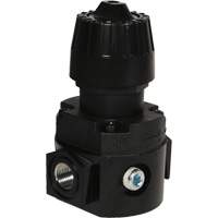 Wilkerson Compact Regulator R16, 1/4" NPT, 300 psi Max. PSI, Standard - Dixon Group R16-02R