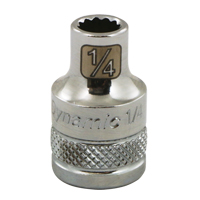 SAE Socket, 1", 3/8" Drive, 12 Points - Dynamic Tools D009432