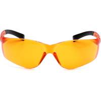 Ztek&reg; Frameless Safety Glasses - Pyramex S2540S
