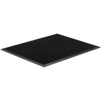 Gritstop Fingermat Matting, Rubber, Scraper Type, Textured Pattern, 2-2/3" x 3-3/4", Black - Edgewood Matting GFM223239