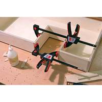 Serre-joint &agrave; une main EZS, 12" (305 mm) - Bessey EZS30-8