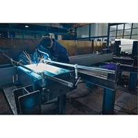 Serre-joint enti&egrave;rement en acier &agrave; double force variable - Bessey GSV300M