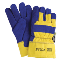 Leather Gloves