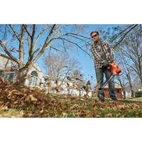 Souffleur/aspirateur/broyeur de feuilles 3-en-1 VacPack, Vitesse d'air 250 mi/h, &eacute;lectrique - Black & Decker BEBL7000-CA