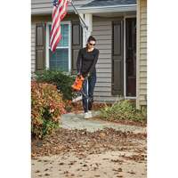 Souffleur/aspirateur/broyeur de feuilles 3-en-1 VacPack, Vitesse d'air 250 mi/h, &eacute;lectrique - Black & Decker BEBL7000-CA