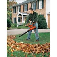Souffleur/aspirateur/broyeur de feuilles, Vitesse d'air 210 mi/h, &eacute;lectrique - Black & Decker BV3100