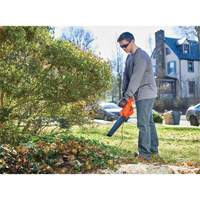 Souffleur &agrave; feuilles, Vitesse d'air 180 mi/h, &eacute;lectrique - Black & Decker LB700