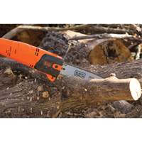 9-1/2' Pole Saw - Black & Decker PP610