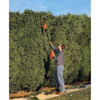 Max* Cordless Pole Hedge Trimmer Kit - Black & Decker LPHT120-CA