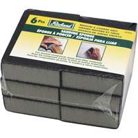 Wet and Dry Sanding Sponges - Richard 07033