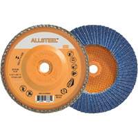 Disque &agrave; lamelles ALLSTEEL, 4-1/2" x 5/8"-11, Type 27, Grain 80, Alumine de zirconium - Walter Technologies Pour Surface 06W458