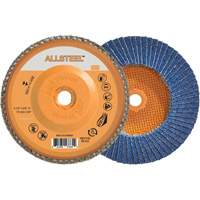 Disque &agrave; lamelles ALLSTEEL, 4-1/2" x 5/8"-11, Type 27, Grain 120, Alumine de zirconium - Walter Technologies Pour Surface 06W462