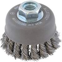 ALLSTEEL Wire Brush, 3" Dia. x 5/8"-11 Arbor - Walter Surface Technologies 13W311