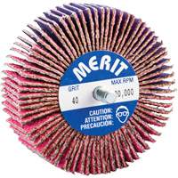 Threaded Mini Flap Wheel, Ceramic Alumina, 40 Grit, 3" x 1" x 1/4"-20 - Norton 69957339737