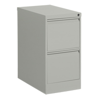 Vertical Filing Cabinet, Steel, 2 Drawers, 15-1/7" W x 25" D x 29" H, Grey - Offices To Go MVL25201 GRY