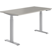 Table rectangulaire &agrave; hauteur r&eacute;glable Newland - Offices To Go NL60303QHT-NGL-TTU