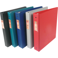 Vinyl Binders, 11" x 8-1/2" x 1", Green - Wilson Jones 42