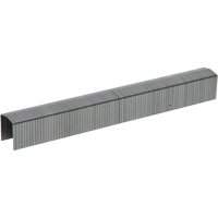 Agrafes robustes &agrave; pointes biseaut&eacute;es PowerCrown, Calibre 16, Couronne 7/16", Longueur 3/8" - Stanley Bostitch STCR50193/8-1M