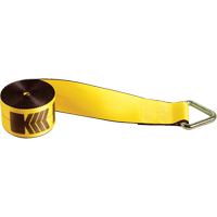 Tendeurs d'arrimage pour treuil, Anneau delta, 4" , 30' , Charge d'utilisation max. 5400 lb (2450 kg) - Kinedyne 423010