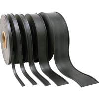 Porte-&eacute;tiquette, Magn&eacute;tique, 600" lo x 2" la - Aigner Label Holder MC-200
