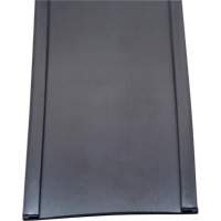 Porte-&eacute;tiquette, Magn&eacute;tique, 600" lo x 2" la - Aigner Label Holder MC-200