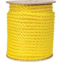 Corde jaune tress&eacute;e, Polypropyl&egrave;ne, 300' - KLETON 