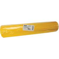 Sacs &agrave; d&eacute;chets, Biorisque, 60" lo x 36" la, 6 mils - Produits d’entretien RMP 