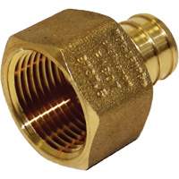 Lead-Free Female Adapter, Barb x FPT, 1/2" x 3/4" Dia., Brass - Bow Plumbing 524306