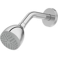 Pomme de douche monofonctionnelle - Pfister J15060C