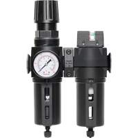 Filter/Regulator & Coalescing Filter Modulair 300 with Standard Bowl & Manual Drain, 3/8" NPTF, 150 PSI, 5.12 fl. oz. Capacity - Topring 50.670A