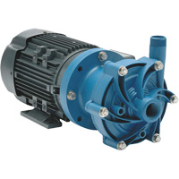 DB6H Sealless Plastic Pumps - FTI Finish Thompson Inc. DB6HP-M226