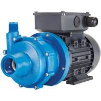 Magnetic Drive Pump with Carbon Bushing - FTI Finish Thompson Inc. DB3P-M612
