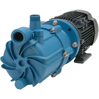 Pompe autoamorçante &agrave; entraînement magn&eacute;tique avec bague en carbone - FTI Finish Thompson Inc. SP10P-3-M218