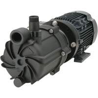 Pompe &agrave; entraînement magn&eacute;tique avec bague en PTFE - FTI Finish Thompson Inc. SP10V-T-3-M218