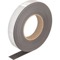 &eacute;tiquettes magn&eacute;tiques effaçables, Magn&eacute;tique, 600" lo x 1" la - Aigner Label Holder MX100