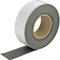 &eacute;tiquettes magn&eacute;tiques effaçables, Magn&eacute;tique, 600" lo x 2" la - Aigner Label Holder MX200