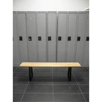 Locker Room Bench, Wood, 48" L x 9-1/2" W x 16-1/2" H - KLETON 