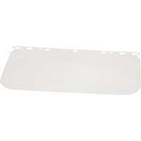Visi&egrave;re Matrix II, Polycarbonate, Teinte Transparent - Dentec 12F487400
