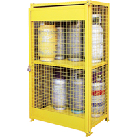 Armoires pour cylindres &agrave; gaz, nbre de bouteilles: 12, 44" , 30" , 74" , Jaune - KLETON 