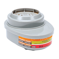 Advantage&reg; Respirator Cartridges, Gas/Vapour Cartridge, Mercury Vapour/Chlorine Gas/P100 Filter - MSA 815368