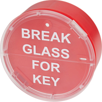 Key Boxes - STI RSKB