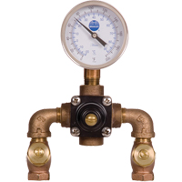 Vannes de m&eacute;lange thermostatiques, 7 gal./min - Bradley S19-2000