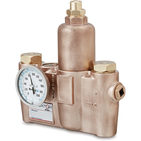 Vannes de m&eacute;lange thermostatiques, 19,5 gal./min - Bradley S19-2100