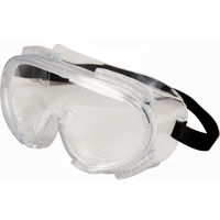 Encompass Safety Goggles, Clear Lens, Anti-Fog, Indirect Vent - Encon 6068004