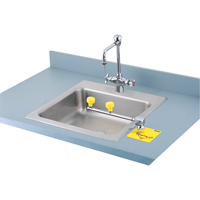 Plumbed Emergency Eyewash Stations