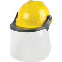 Head & Face Protection Systems - MSA 