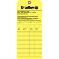 Inspection Tag, Paper, 3-6/8" W x 5-7/8" H, English - Bradley 204-421