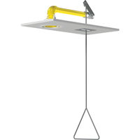 Horizontal Supply Emergency Shower Stations, Ceiling-Mount - Bradley S19-120FM