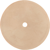 Survivair&reg; Inhalation Valve - PIP Global Safety B140001