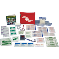 First Aid Kit, Class 1 Medical Device, Belt Pouch - Safecross 01350